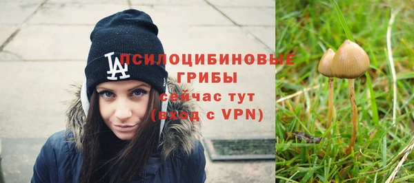 стаф Балабаново