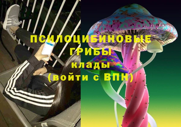 стаф Балабаново