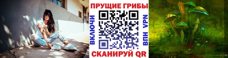 Галлюциногенные грибы Cubensis  Купить где  Дмитриев 